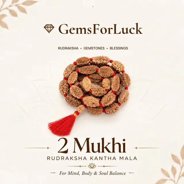 GemsForLuck 2 mukhi rameswaram kantha 32+1 beads Original 2 Mukhi Rudraksh Kantha Mala 2 Face Rudraksha Mala