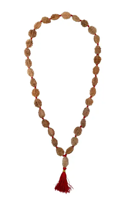 GemsForLuck 2 mukhi rameswaram kantha 32+1 beads Original 2 Mukhi Rudraksh Kantha Mala 2 Face Rudraksha Mala – image 10