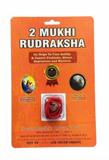 GemsForLuck 2 Mukhi Rudraksha Original Natural Rudraksha Bead with Red Thread