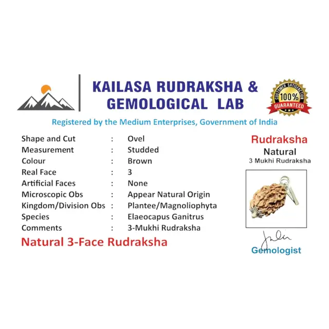 GemsForLuck 3 Mukhi Rudraksha with Silver Plated Cap – image 4