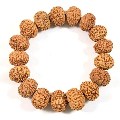 GemsForLuck 7 Mukhi Rudraksha Bracelet Certified Energized 7 Mukhi Rudraksha Bracelet Adjustable Unisex – image 4