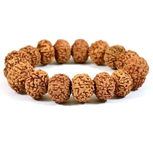 GemsForLuck 7 Mukhi Rudraksha Bracelet Certified Energized 7 Mukhi Rudraksha Bracelet Adjustable Unisex – image 5