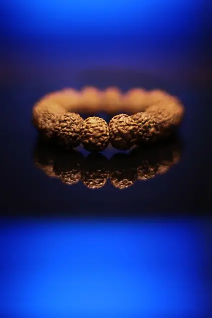 GemsForLuck 7 Mukhi Rudraksha Bracelet Certified Energized 7 Mukhi Rudraksha Bracelet Adjustable Unisex – image 9