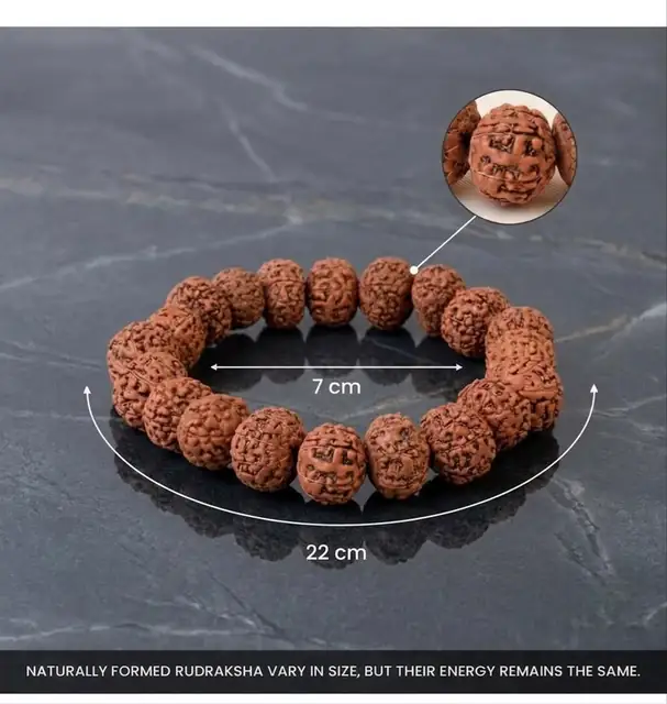 GemsForLuck 7 Mukhi Rudraksha Bracelet – image 6