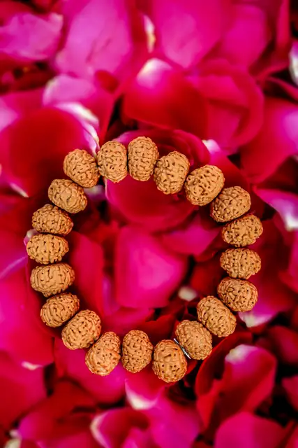 GemsForLuck 8 Mukhi Rudraksha Bracelet Unisex Bracelet Java Beads Adjustable 8 Mukhi Rudraksha Bracelet – image 4