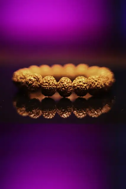 GemsForLuck 8 Mukhi Rudraksha Bracelet Unisex Bracelet Java Beads Adjustable 8 Mukhi Rudraksha Bracelet – image 7