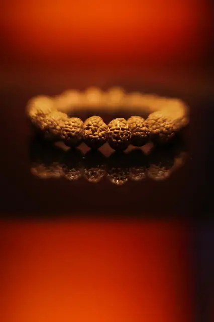 9 Mukhi Rudraksha Bracelet – image 6
