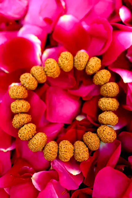 9 Mukhi Rudraksha Bracelet – image 7