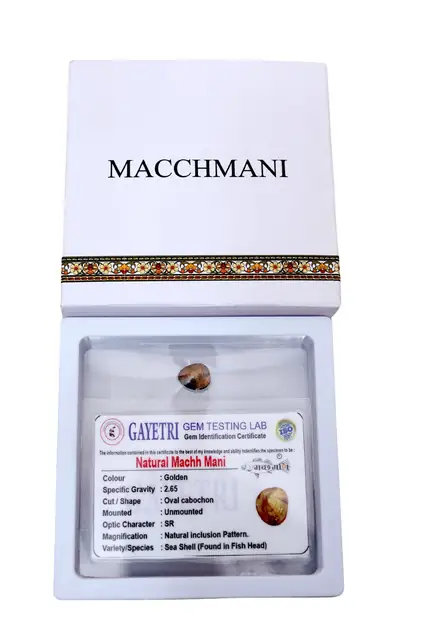 GemsForLuck Certified Machh Mani sea stone Reduces and Removes Rahu Impact.(Meen Mukta, fish stone)