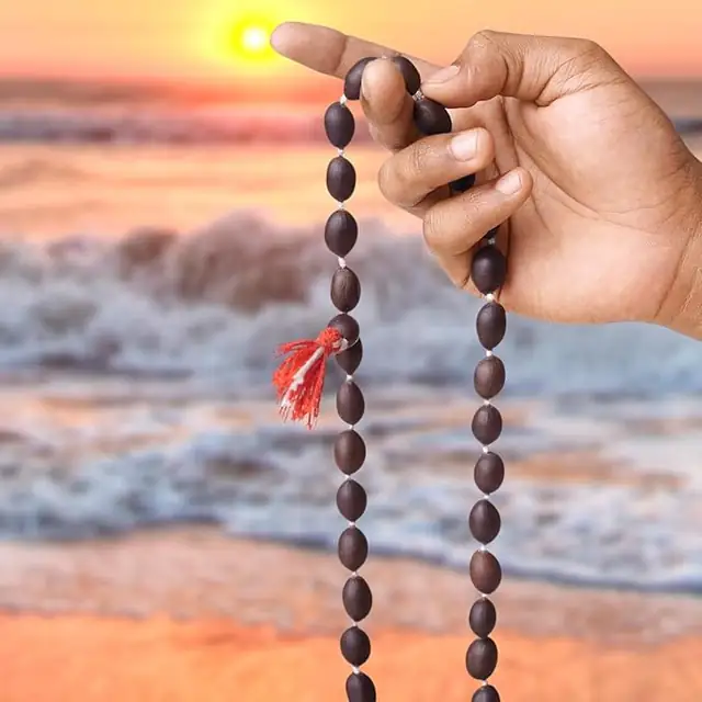 GemsForLuck Men's Wood Kamal Gatta Mala with 108 Lotus Seeds (Black) – image 5