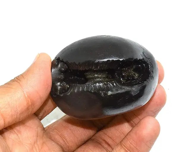 Laxmi Narayan Shaligram – image 3