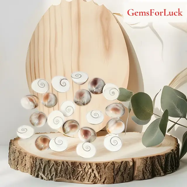Natural & Real Gomti Chakra