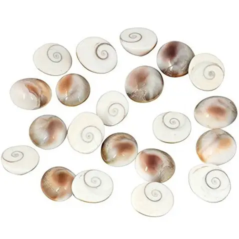 Natural & Real Gomti Chakra – image 3
