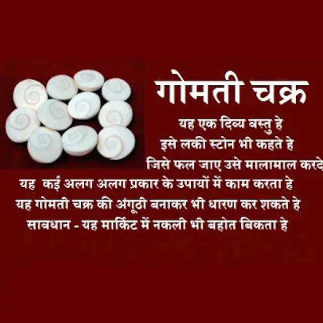 Natural & Real Gomti Chakra – image 4