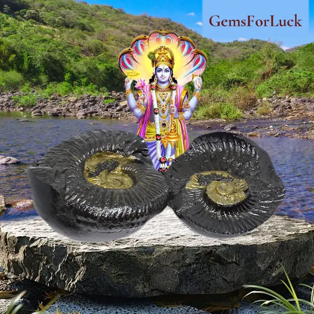 Natural Shaligram Stone – image 2