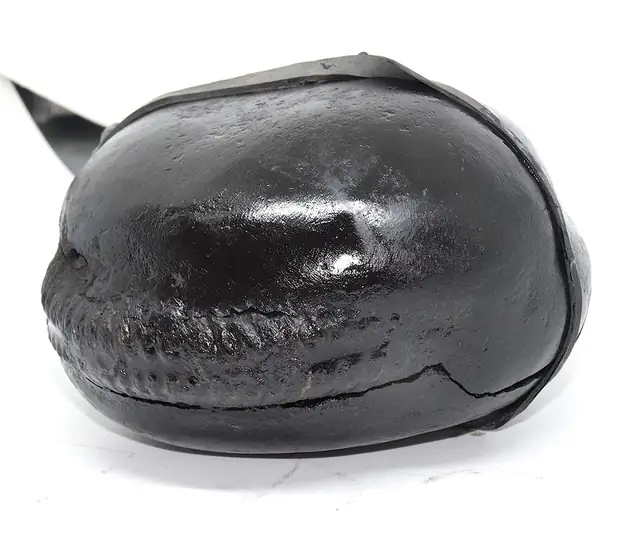 Natural Shaligram Stone – image 6