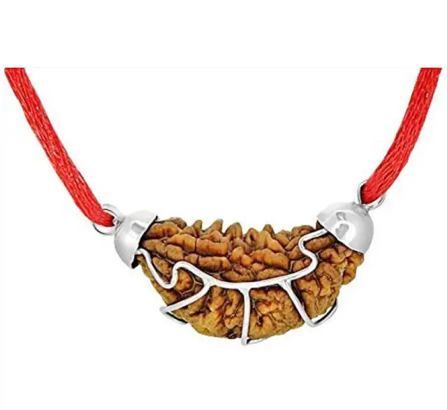 One Mukhi / Faced Half Moon Rudraksha / 1 mukhi caping – image 5