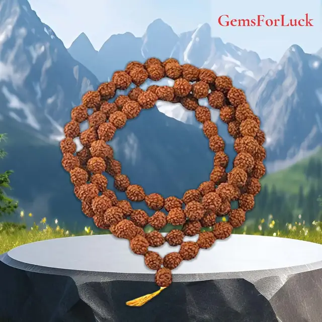 Rudraksha 5 mukhi jaap Mala