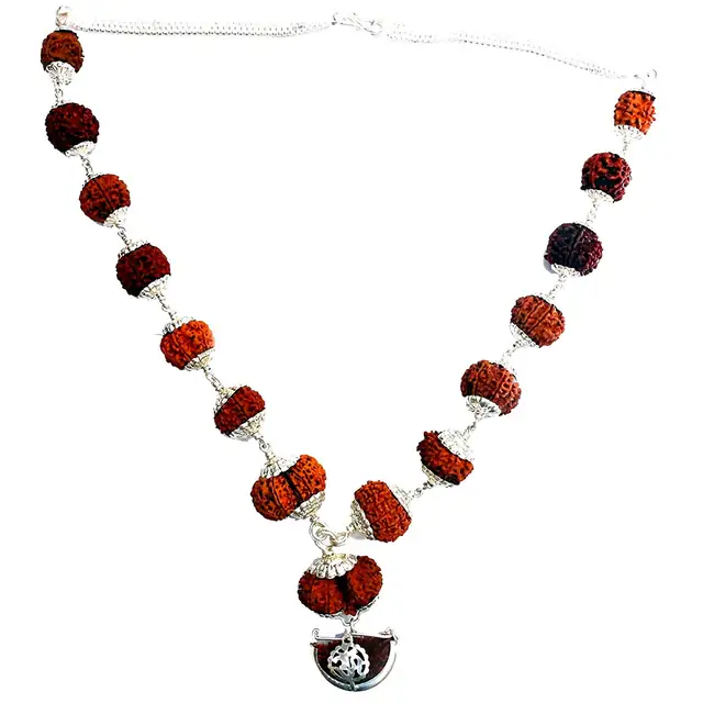 1 -14 Mukhi Rudraksha Silver Kantha indonesia – image 13