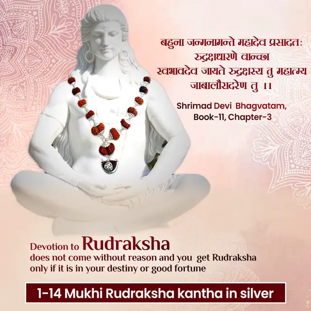 1 -14 Mukhi Rudraksha Silver Kantha indonesia – image 4