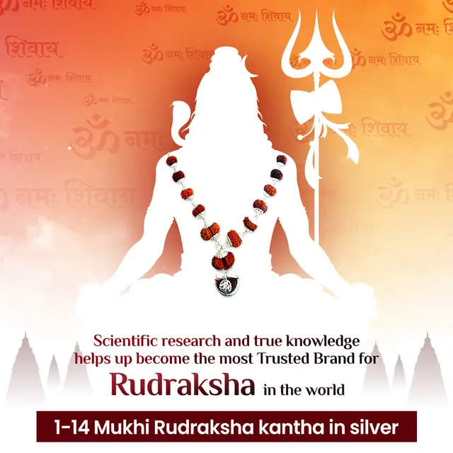 1 -14 Mukhi Rudraksha Silver Kantha indonesia – image 5
