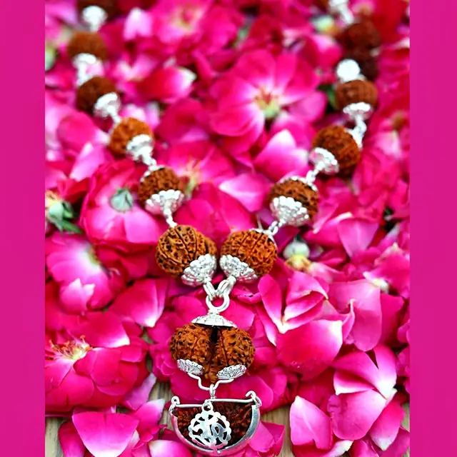 1 -14 Mukhi Rudraksha Silver Kantha indonesia – image 8