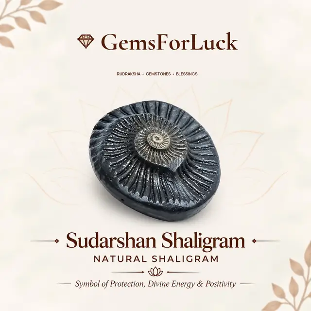 Sudarshan Shaligram