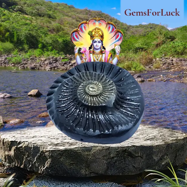 Sudarshan Shaligram – image 2