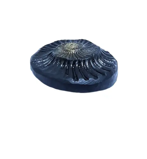 Sudarshan Shaligram – image 4